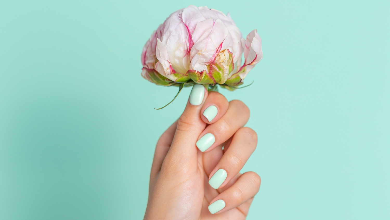 Close-up of a hand with mint green gel nail polish holding a pink flower on a turquoise background. Spring nail ideas.